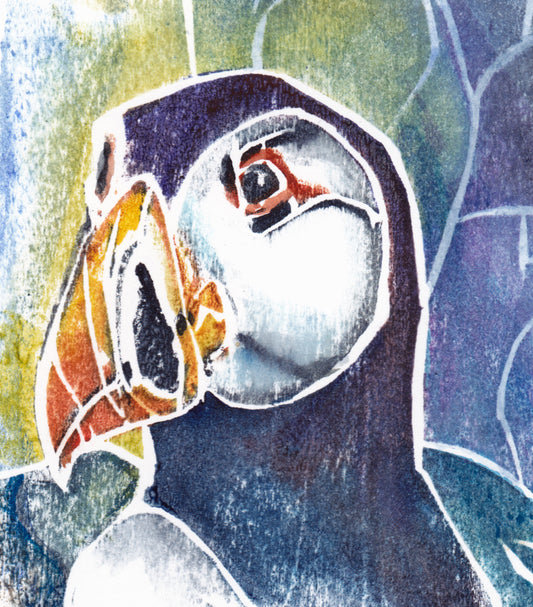 Puffin Bold