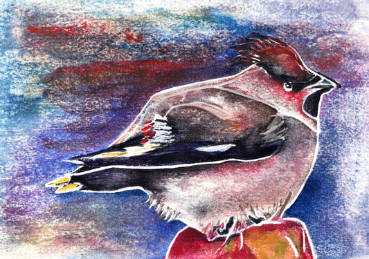 Waxwing Sings
